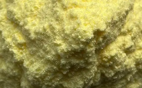 α-硫辛酸